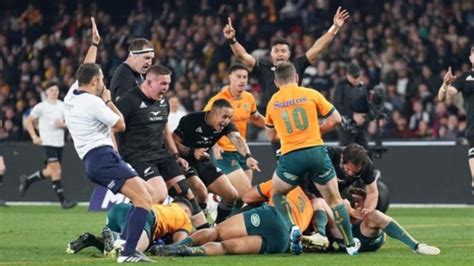 The Bledisloe Cup All Blacks vs Wallabies game a win for Nine