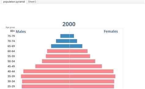 Workbook: SOUTH KOREA Population Pyramid