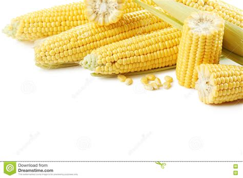 Sweet Corns Stock Image Image Of Macro Closeup Fresh 76877041