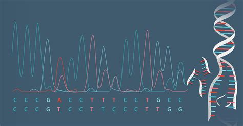 In Focus Sanger Sequencing Biotechniques