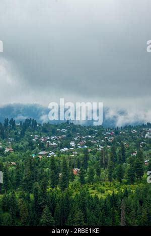 Lush green meadows of Yusmarg, Kashmir photographed late afternoon well ...