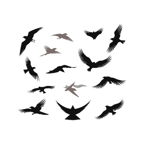 Premium Vector | Flying birds silhouette clip art pack