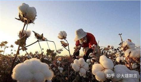 傅海棠：历史性的大行情，抓住一次就成功 知乎