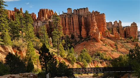 Ska Y I Drzewa W Ameryka Skim Parku Narodowym Bryce Canyon