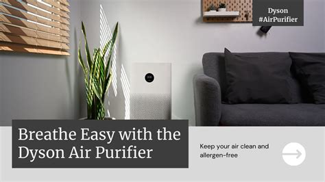 Best Dyson Air Purifiers: A Must-Have for Allergy Sufferers?