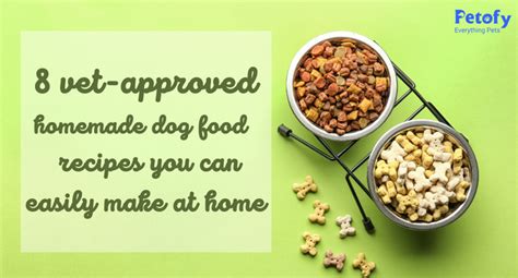 Homemade Dog Food Recipes For Skin Allergies Vet Approved Sale | laseb ...