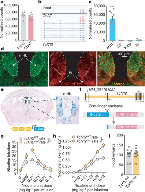 Tcf7l2 Is Enriched In The Medial Habenula And Regulates Nicotine Download Scientific Diagram