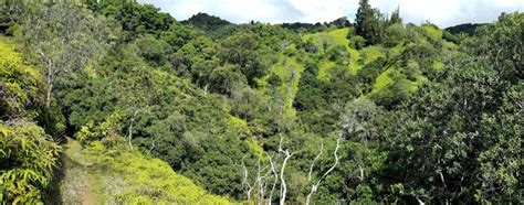 Oahu – Pūpūkea – Hawaii Vipassana