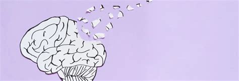 Forgetting is more important than remembering | Scott A. Small » IAI TV 