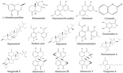 Biomolecules Free Full Text Fungal Endophytes Microfactories Of