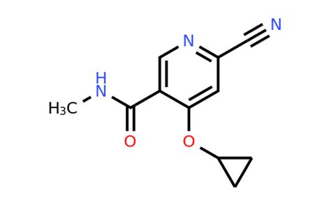 CAS 1243480 70 7 6 Cyano 4 Cyclopropoxy N Methylnicotinamide Synblock