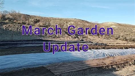 March Garden Tour YouTube