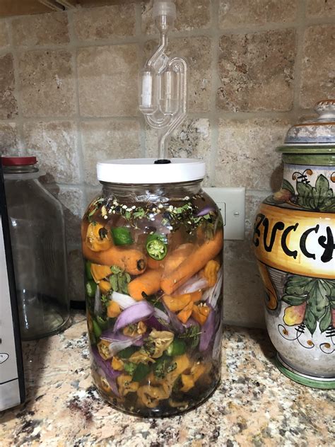 My First Hot Sauce Yes So It Only Cost Me The Supplies And Huge Fight With My Wife Because My