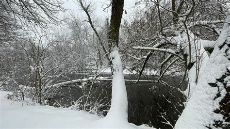 Galeria Zima w Lubelskiem Zdjęcia czytelników zdjęcie 5 Dziennik