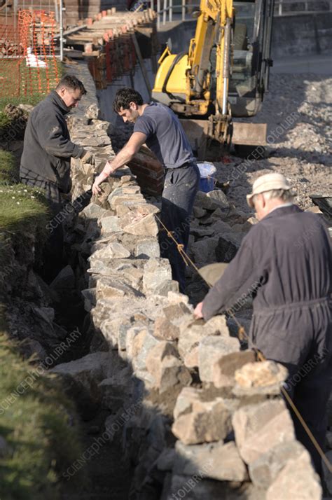 Construction of a sea wall - Stock Image - C057/4298 - Science Photo Library