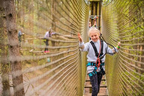 Go Ape Moors Valley Visit Dorset