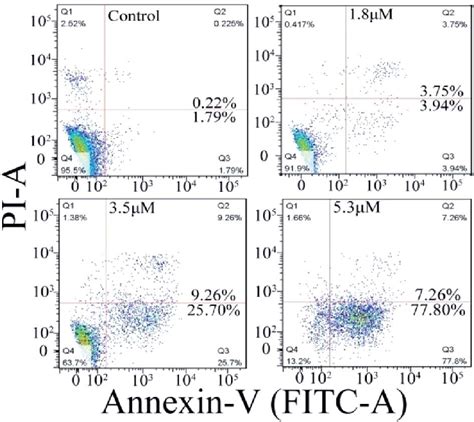 Apoptosis Of T24 Cells Induced By C4 Detected Using Flow Cytometry