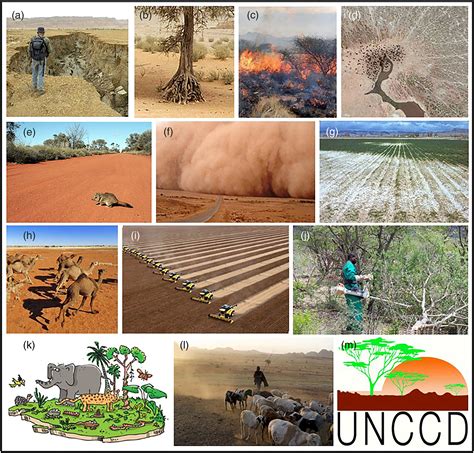 Desertification Before And After Africa