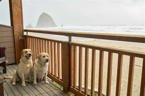 Best Pet-Friendly Hotels in Cannon Beach! - Girl Who Travels the World