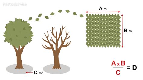 Leaf Area Index Pesticidewise