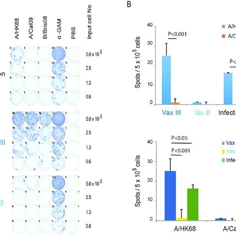 Broader Cross Reactive Antibody Responses Are Induced By Download