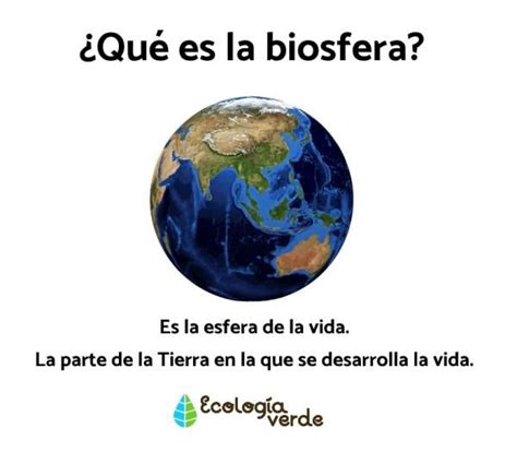 Qué Es La Biosfera Capas Y Características Resumen Capas De La Tierra Cuadernos