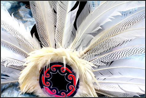 Native American White Feathers Headdress Photograph By Dora Sofia Caputo Fine Art America