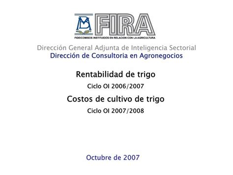 Pdf Rentabilidad De Trigo Fira Realizar Visitas De