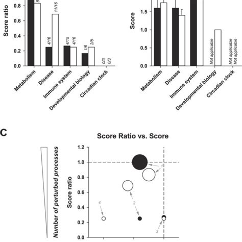 Overview Of Biological Processes Affected By Pfoa Highlighted In