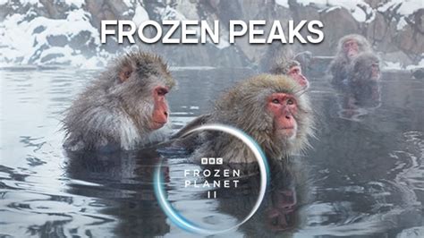 Frozen Planet II | BBC Earth