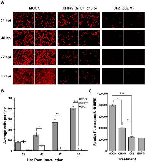 Correlation Of Chikv Infection With Huh Cell Viability Dapi Stained