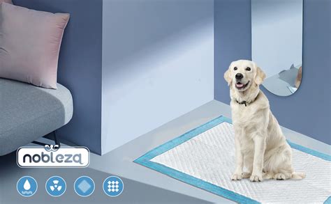 Nobleza Tapis Ducateurs Pour Chiens Chiots Tapis Hygi Nique De