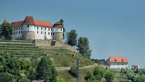 Sevnica Castle Photograph by Norman Gabitzsch - Pixels