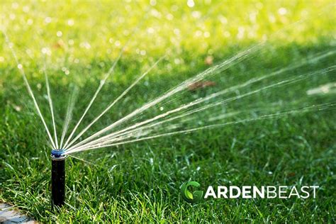 Best Sprinkler Heads Reviews 2024: Complete Buyer's Guide