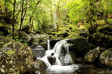 D Passement De La Limite Plan Taire Du Cycle De L Eau Douce