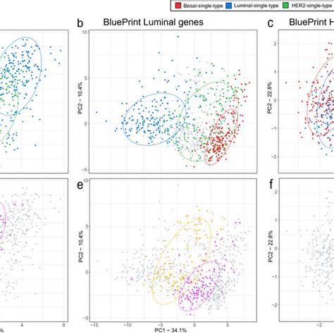 Differential Gene Expression Analysis Between Blueprint Single And Dual Download Scientific