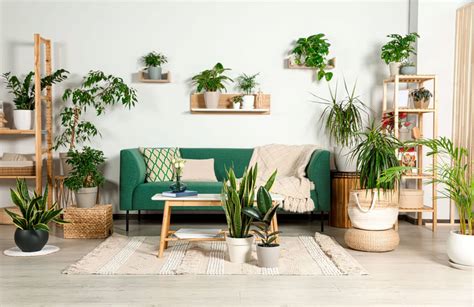 Encante Se Ideias Inovadoras Para Organizar Suas Plantas Em Casa