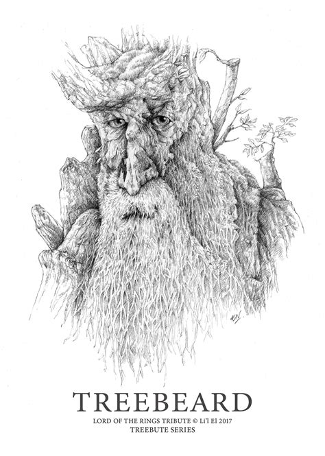 A4 Treebeard Poster Lord Of The Rings Tribute Etsy