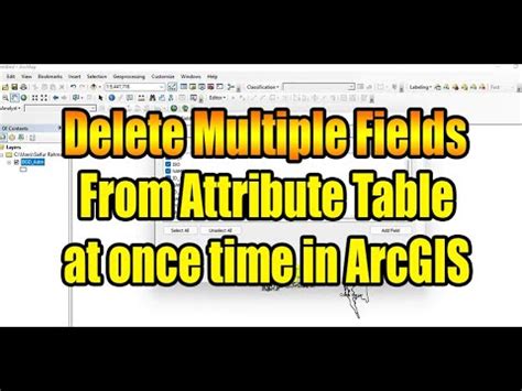 Delete Multiple Fields From An Attribute Table At Once In Arcgis II