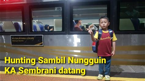 Hunting Kereta Sambil Nunggu Ka Sembrani Datang Youtube