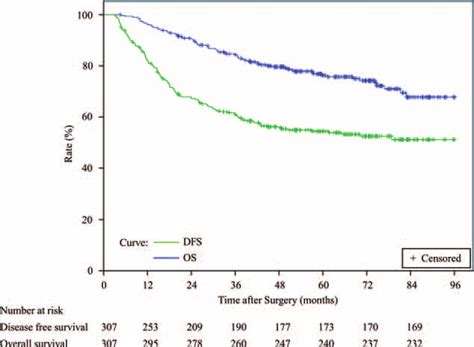 Kaplan Meier Survival Curves For Dfs And Os In All Cohort Patients N ¼ Download Scientific