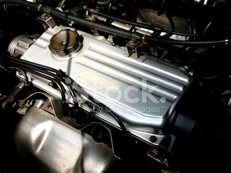 whats  stock photo royalty  freeimages