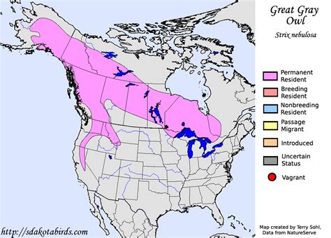 Great Gray Owl Species Range Map