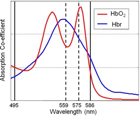 A Schematic Diagram Of The Absorption Spectra Of Oxyhemoglobin HbO2