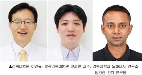 새 췌장염 치료제 개발 가능성 제시