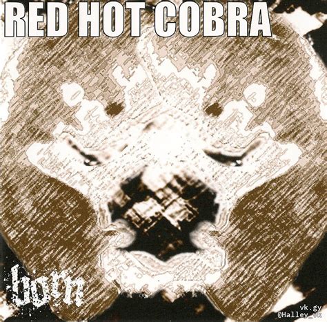 RED HOT COBRA photo vkgy ブイケージ