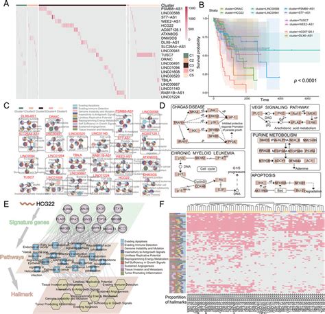 A Heat Map Based On The Pfd Lncrnas In Corresponding Patients The