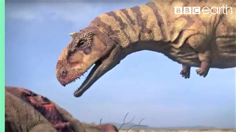 Ferocious Dinosaur Moments Top 5 Bbc Earth Youtube