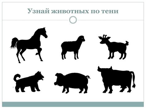 Домашние животные. Лексико-грамматические задания для детей с ОНР ...