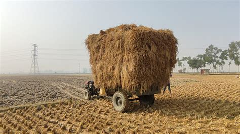 Paddy Farm Harvesting with tractor : r/farming